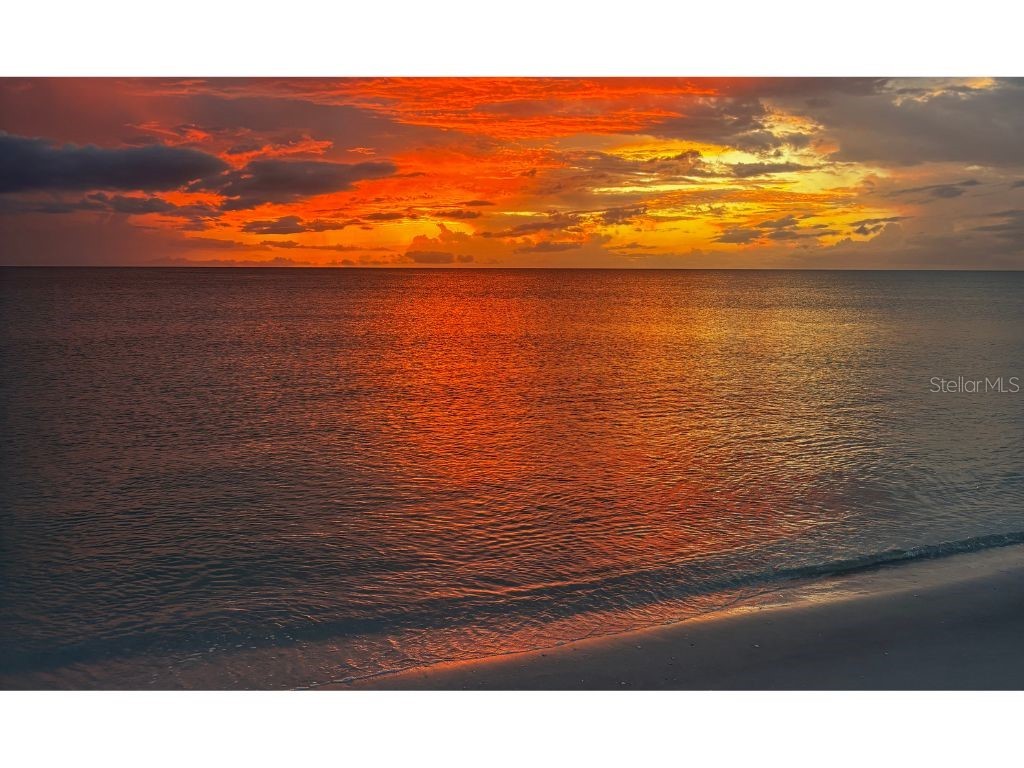 8306 Little Gasparilla Island Placida FL 33946 C7517007 image17