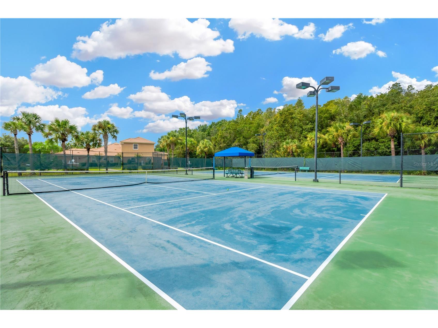 8307 Manor Club Circle #1 Tampa FL 33647 TB8498718 image35