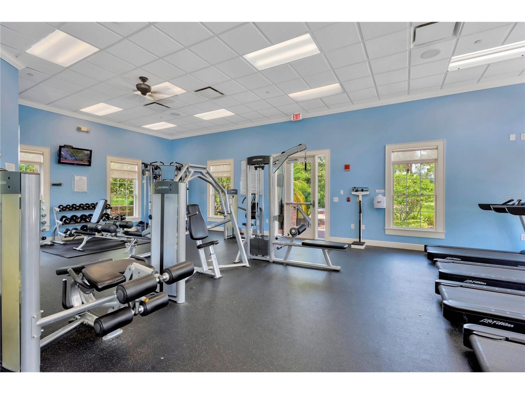 8307 Manor Club Circle #1 Tampa FL 33647 TB8498718 image40