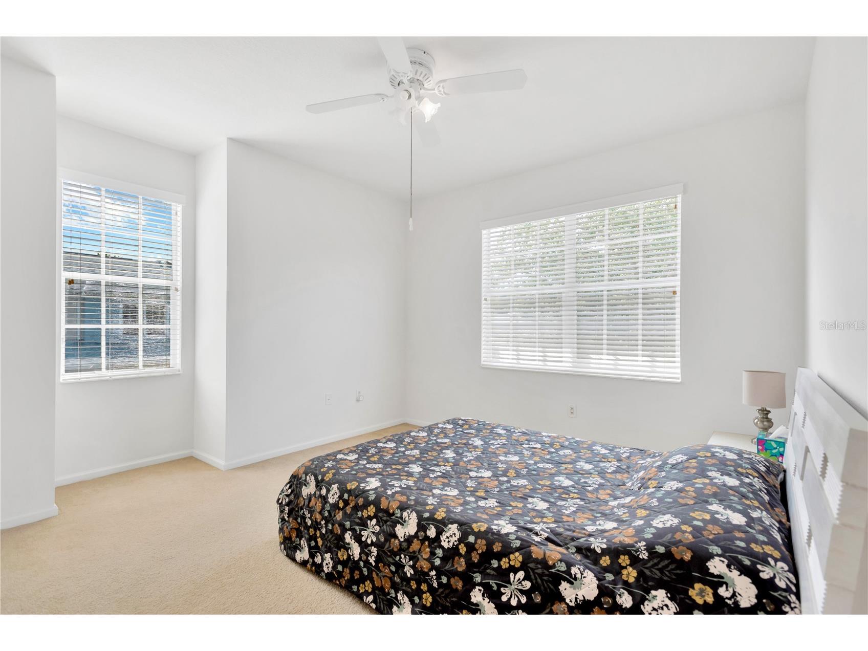 8307 Manor Club Circle #1 Tampa FL 33647 TB8513728 image21
