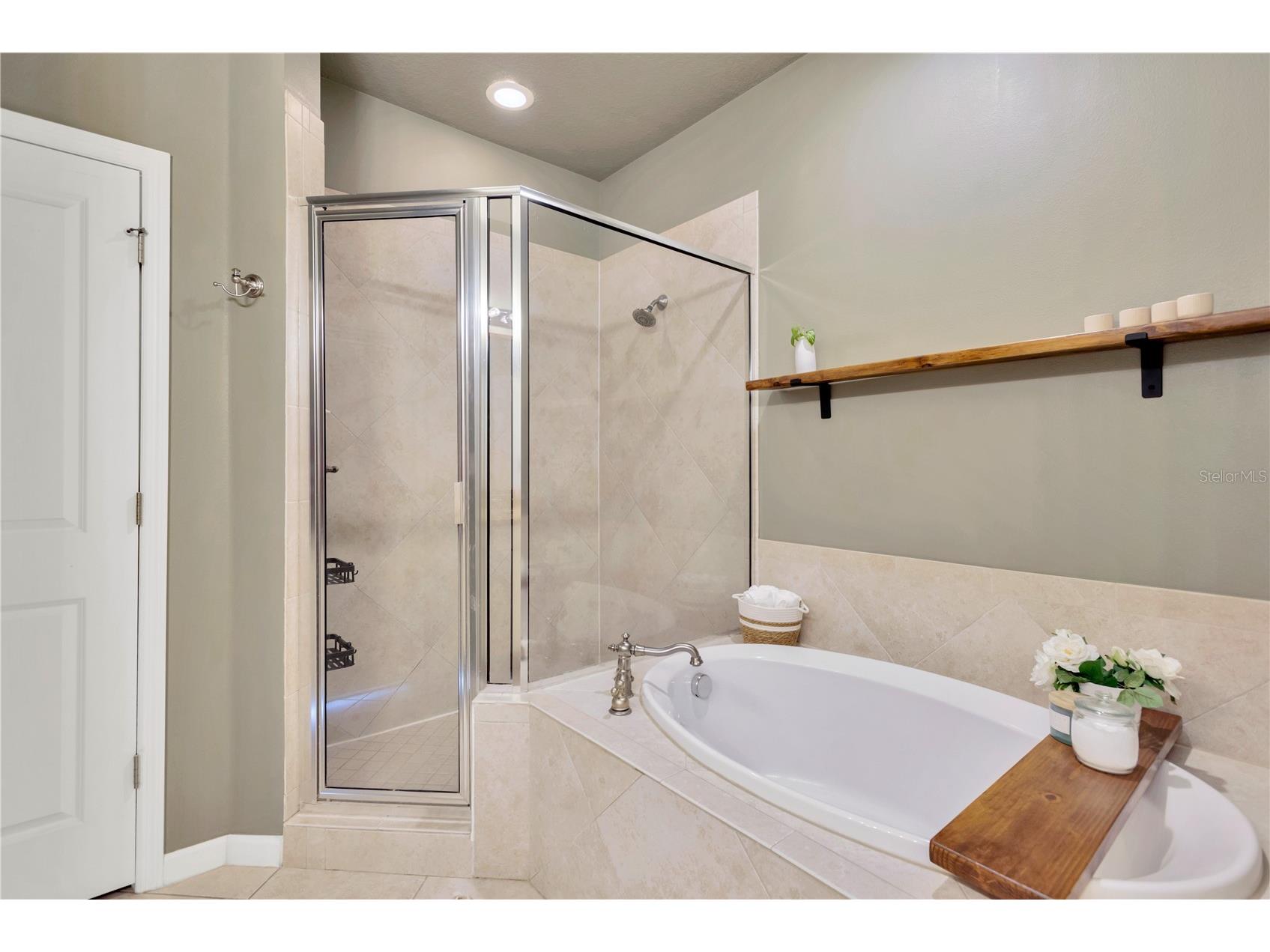 8307 Manor Club Circle #1 Tampa FL 33647 TB8513728 image26