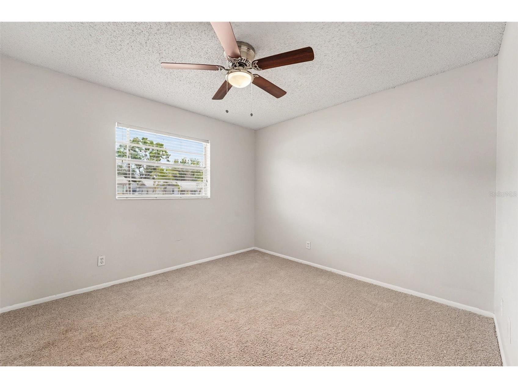 8308 Oleander Lane Tampa FL 33637 O6408673 image8