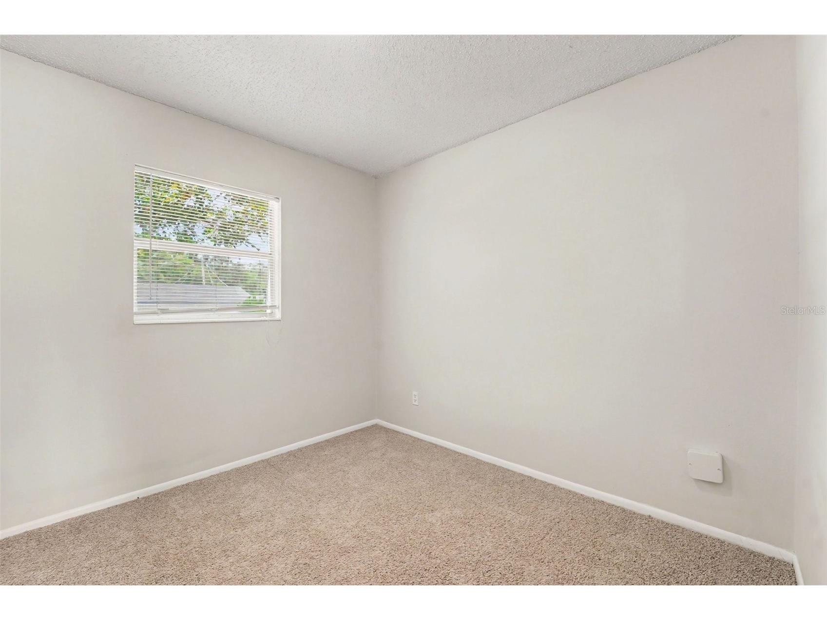 8308 Oleander Lane Tampa FL 33637 O6408673 image9