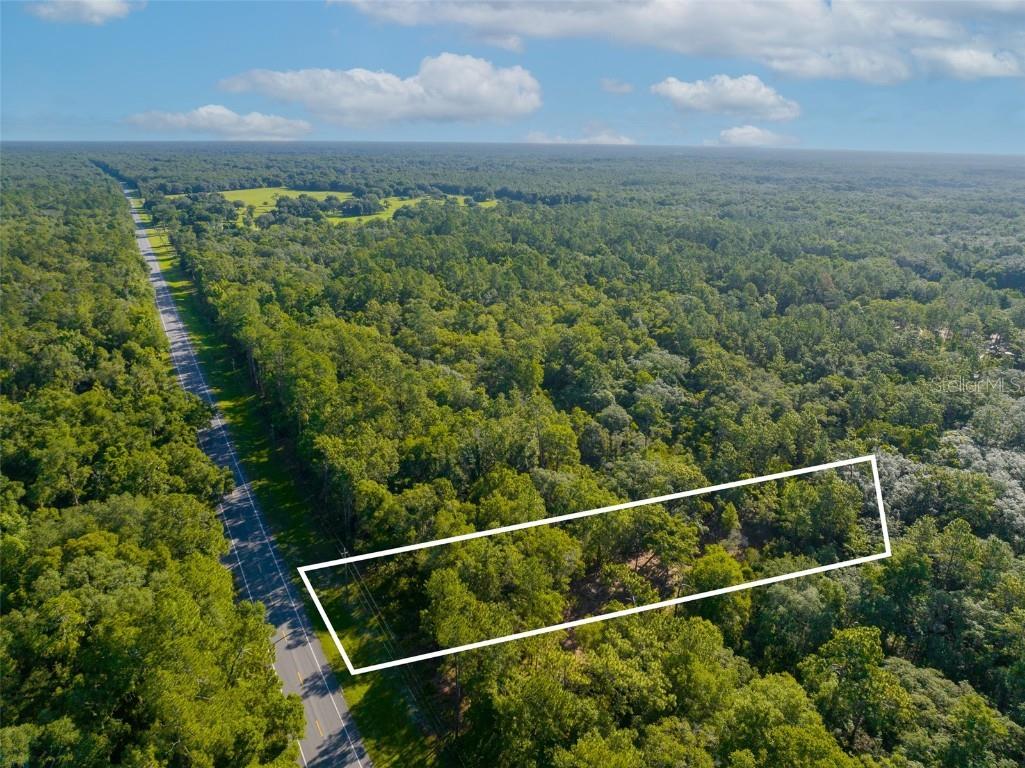 8308 Treiman Boulevard Webster FL 33597 T3406924 image1