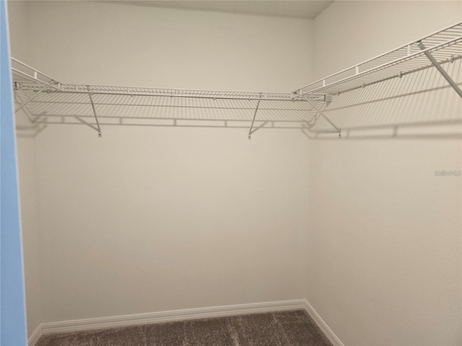 8309 Crescent Oaks Drive New Port Richey FL 34655 TB8513679 image26