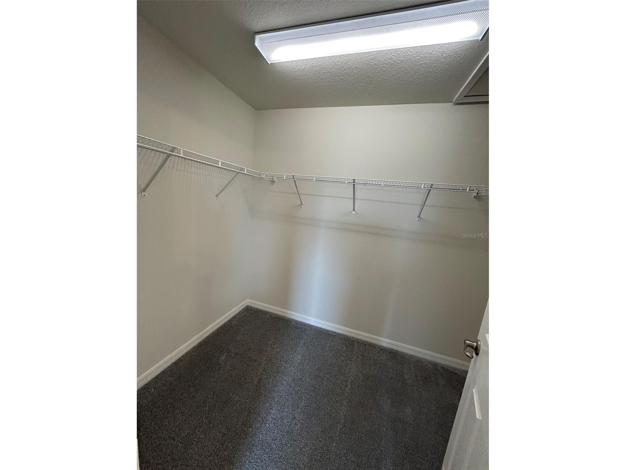 8309 N India Way Citrus Springs FL 34434 OM723239 image11