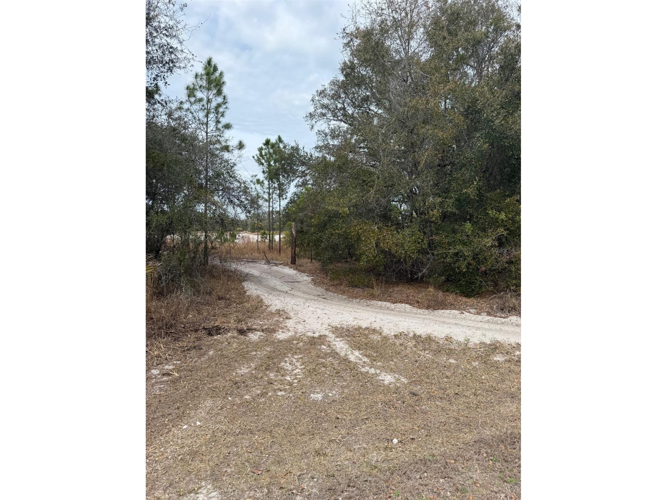 8309 N Odyssey Dr Crystal River FL 34428 G5108393 image1