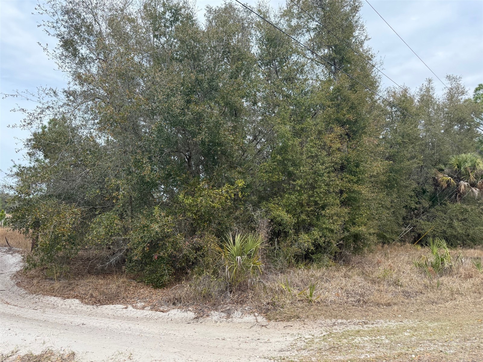 8309 N Odyssey Dr Crystal River FL 34428 G5108393 image2