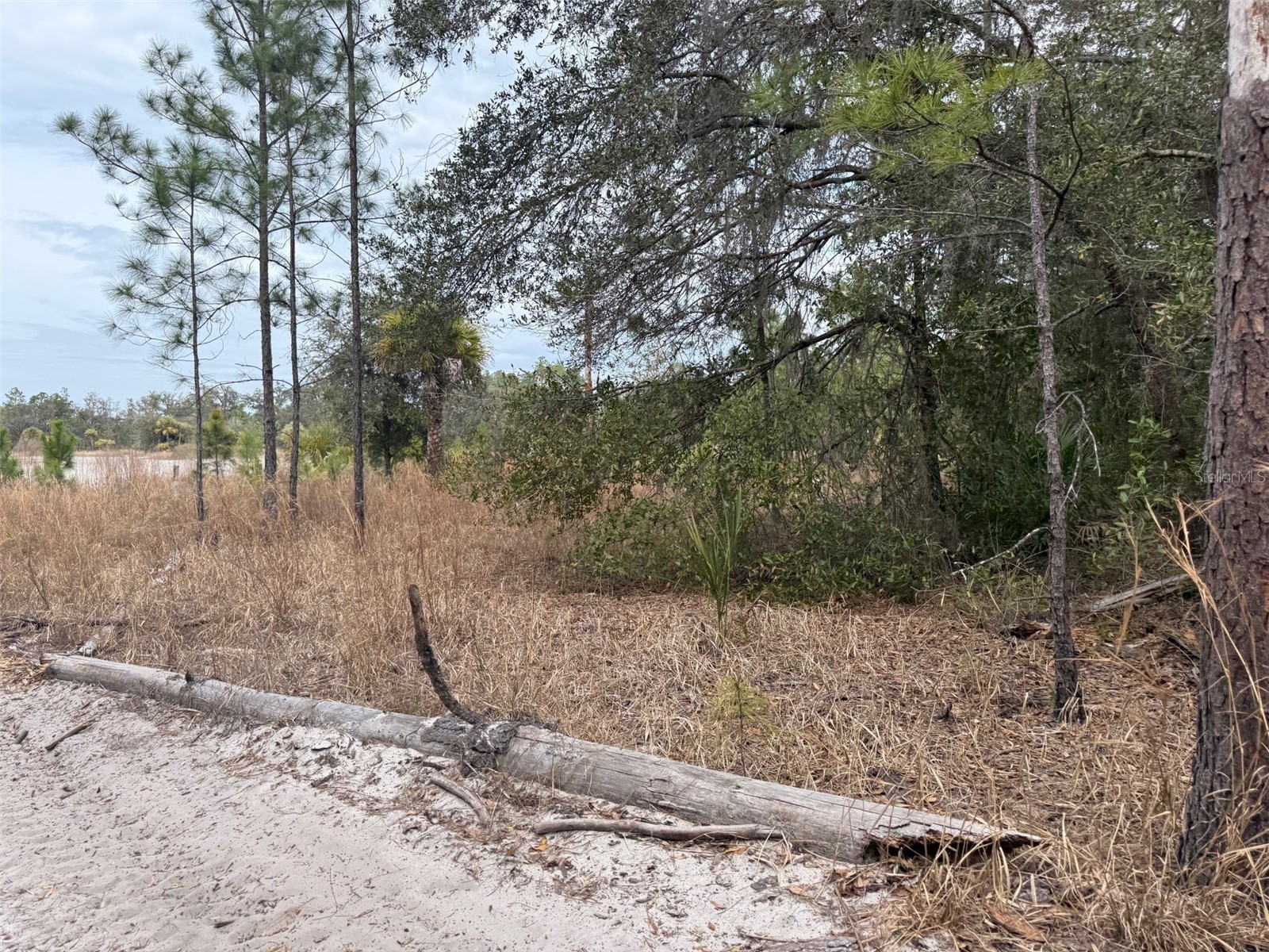 8309 N Odyssey Dr Crystal River FL 34428 G5108393 image4