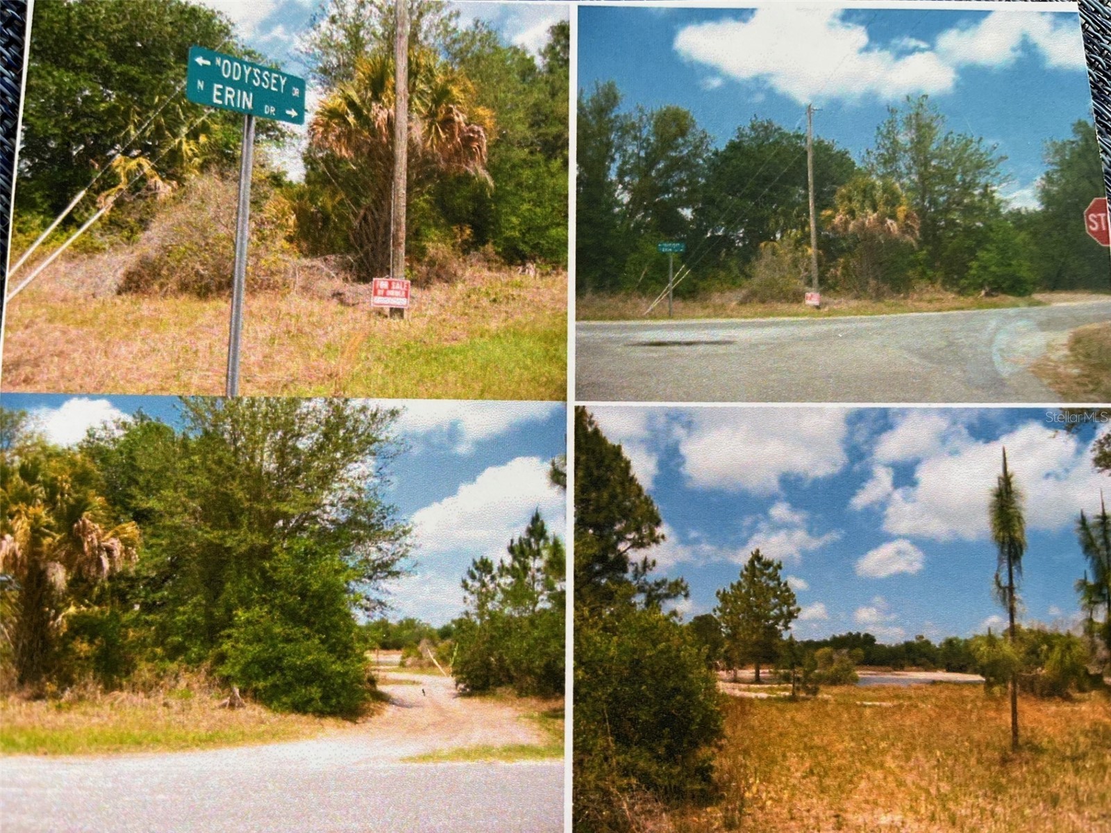 8309 N Odyssey Dr Crystal River FL 34428 G5108393 image6