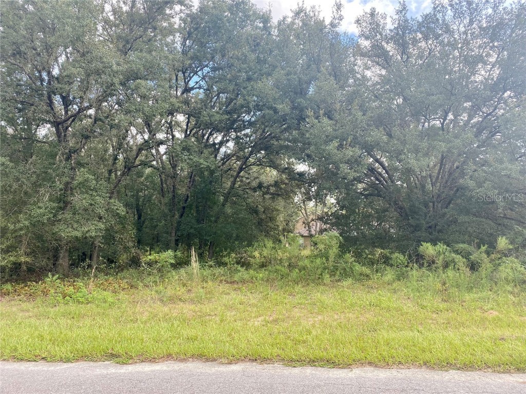 8309 N Vince Drive Citrus Springs FL 34434 G5046781 image1