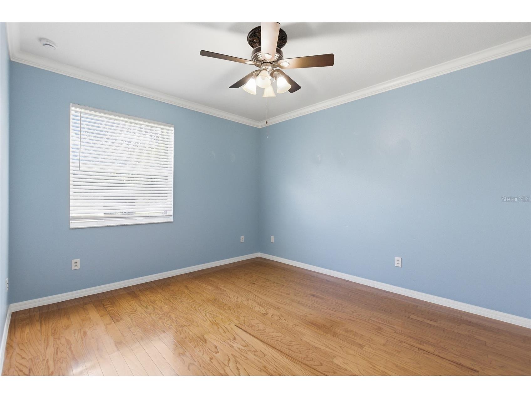8309 Old Town Drive Tampa FL 33647 TB8511682 image37
