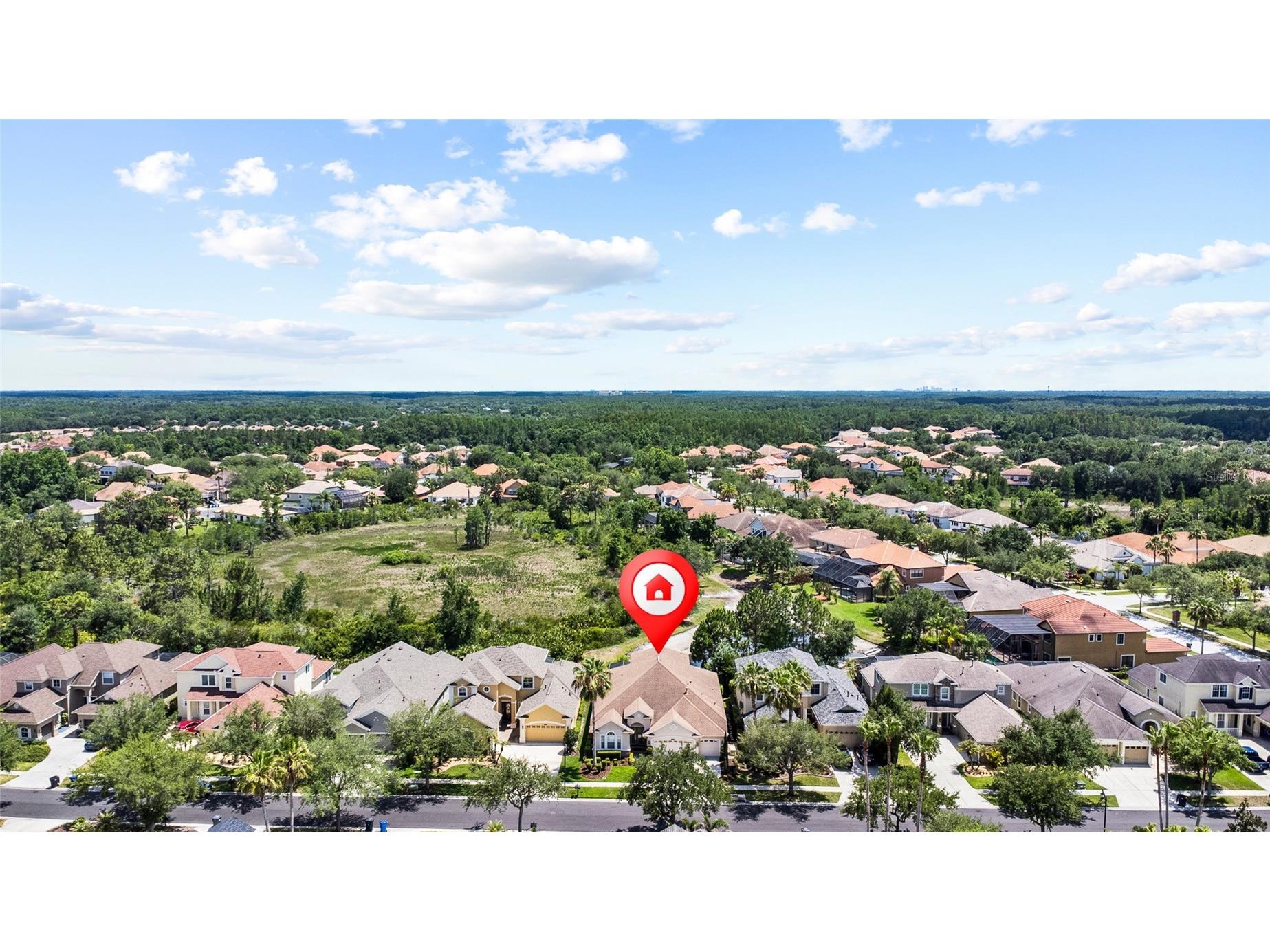 8309 Old Town Drive Tampa FL 33647 TB8511682 image69