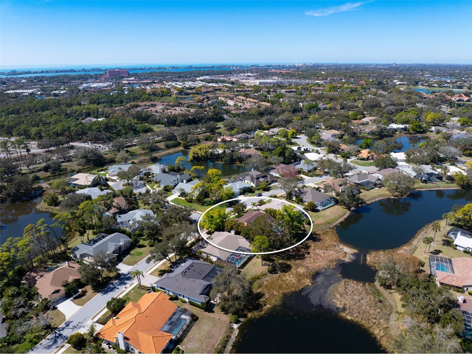 8309 Shadow Pine Way Sarasota FL 34238 A4684119 image68