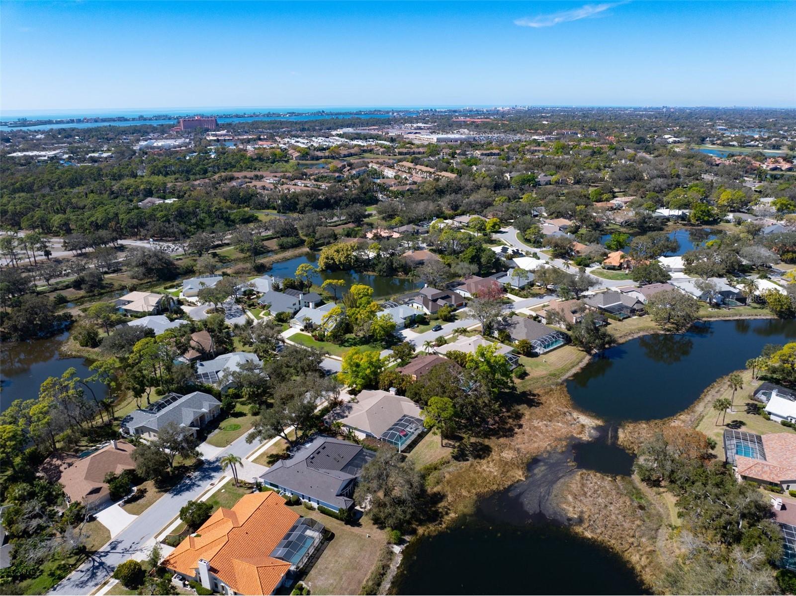 8309 Shadow Pine Way Sarasota FL 34238 A4684119 image69