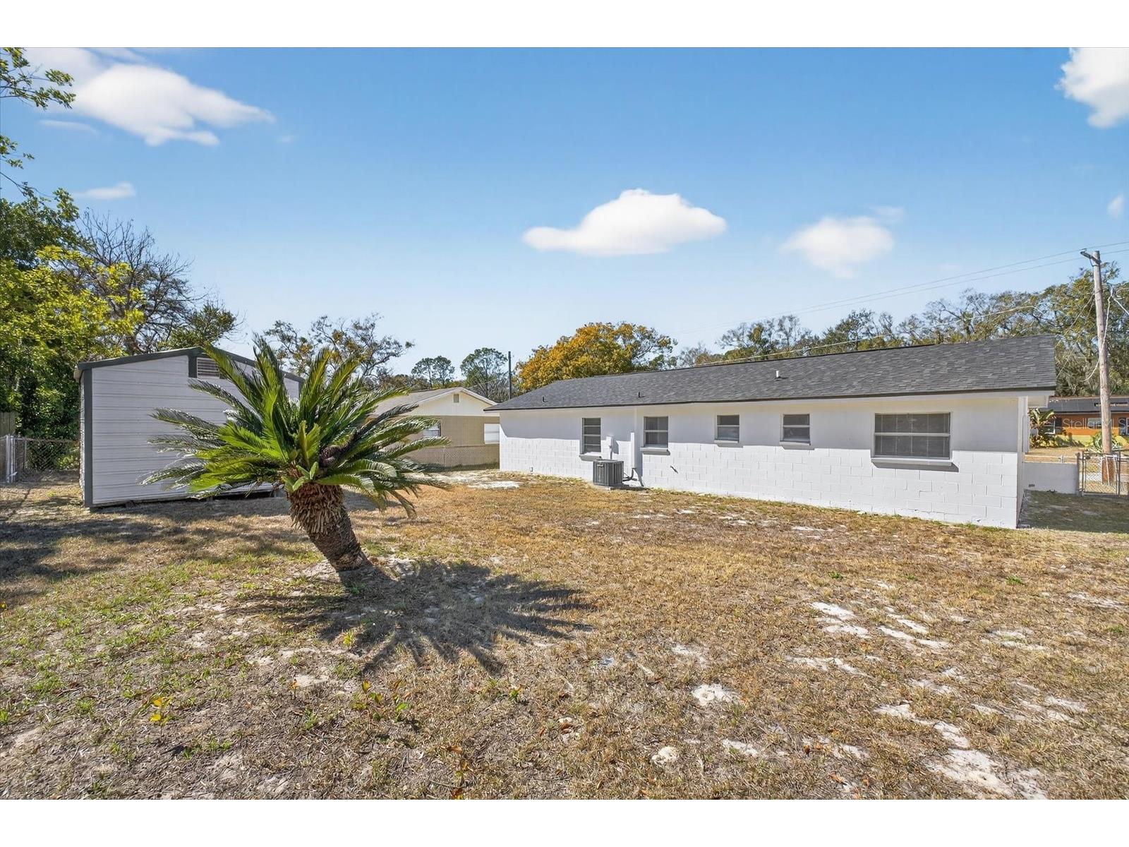 8309 Tupelo Drive Tampa FL 33637 TB8472193 image6