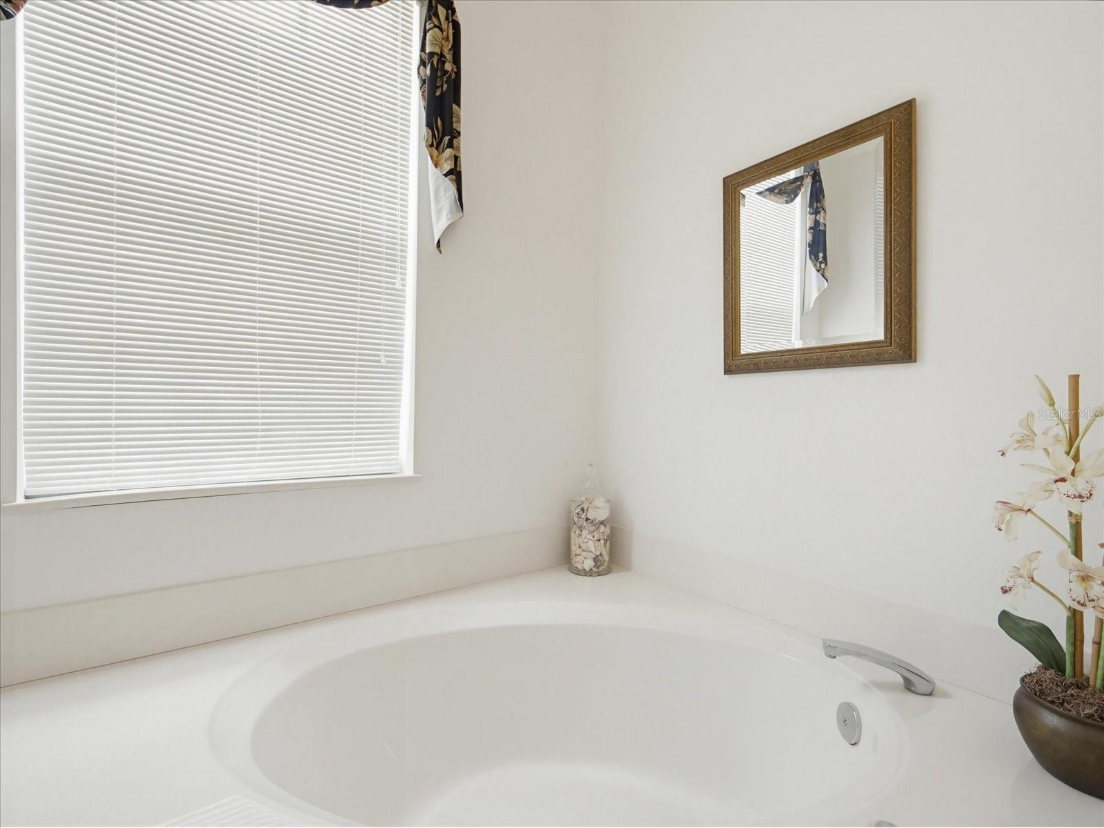831 Chalmers Drive #831 Venice FL 34293 A4693785 image23
