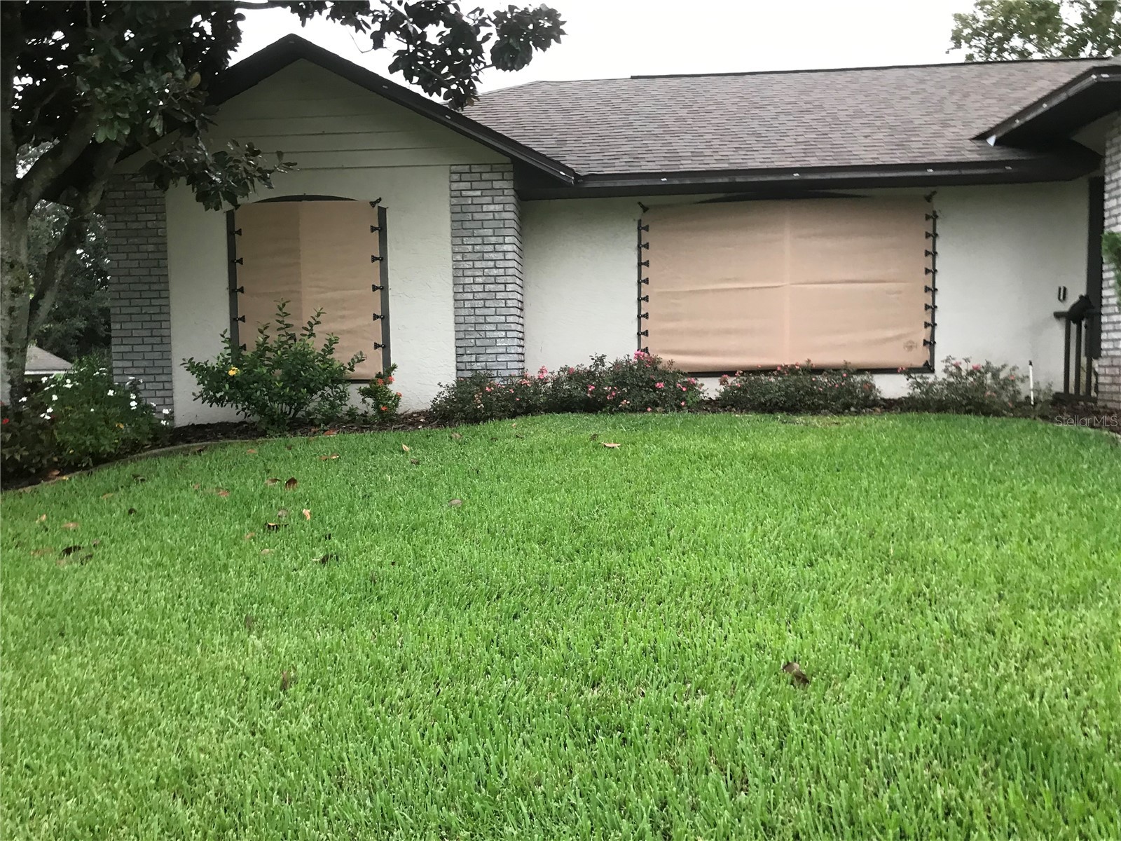 831 Forestwood Dr Minneola FL 34715 G5114771 image31