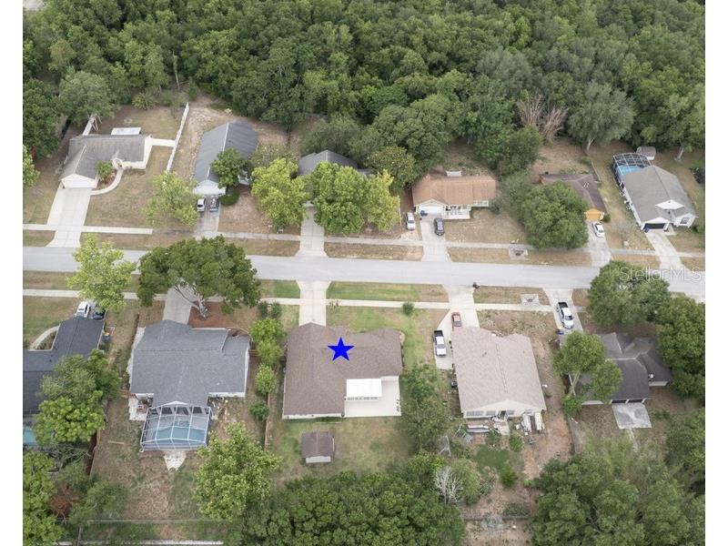831 Forestwood Dr Minneola FL 34715 G5114771 image6