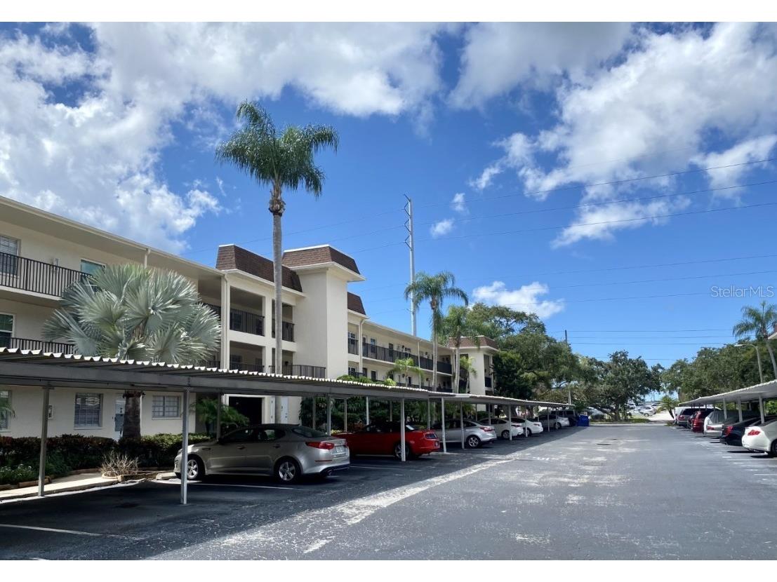 831 Maple Court #102 Dunedin FL 34698 U8177360 image1