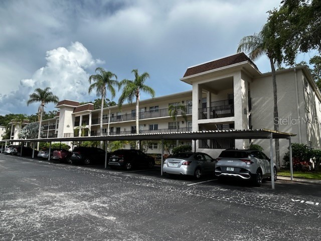 831 Maple Court #208 Dunedin FL 34698 U8248215 image1