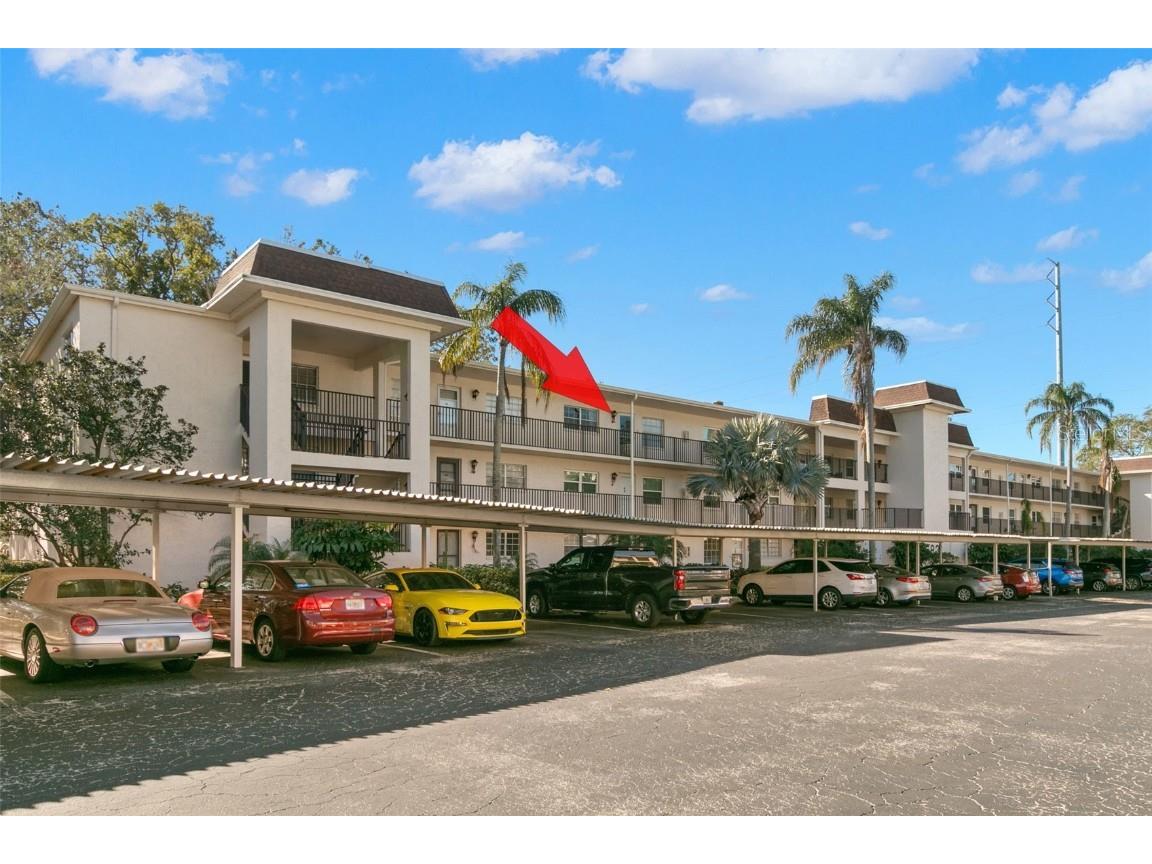 831 Maple Court #303 Dunedin FL 34698 TB8335637 image1