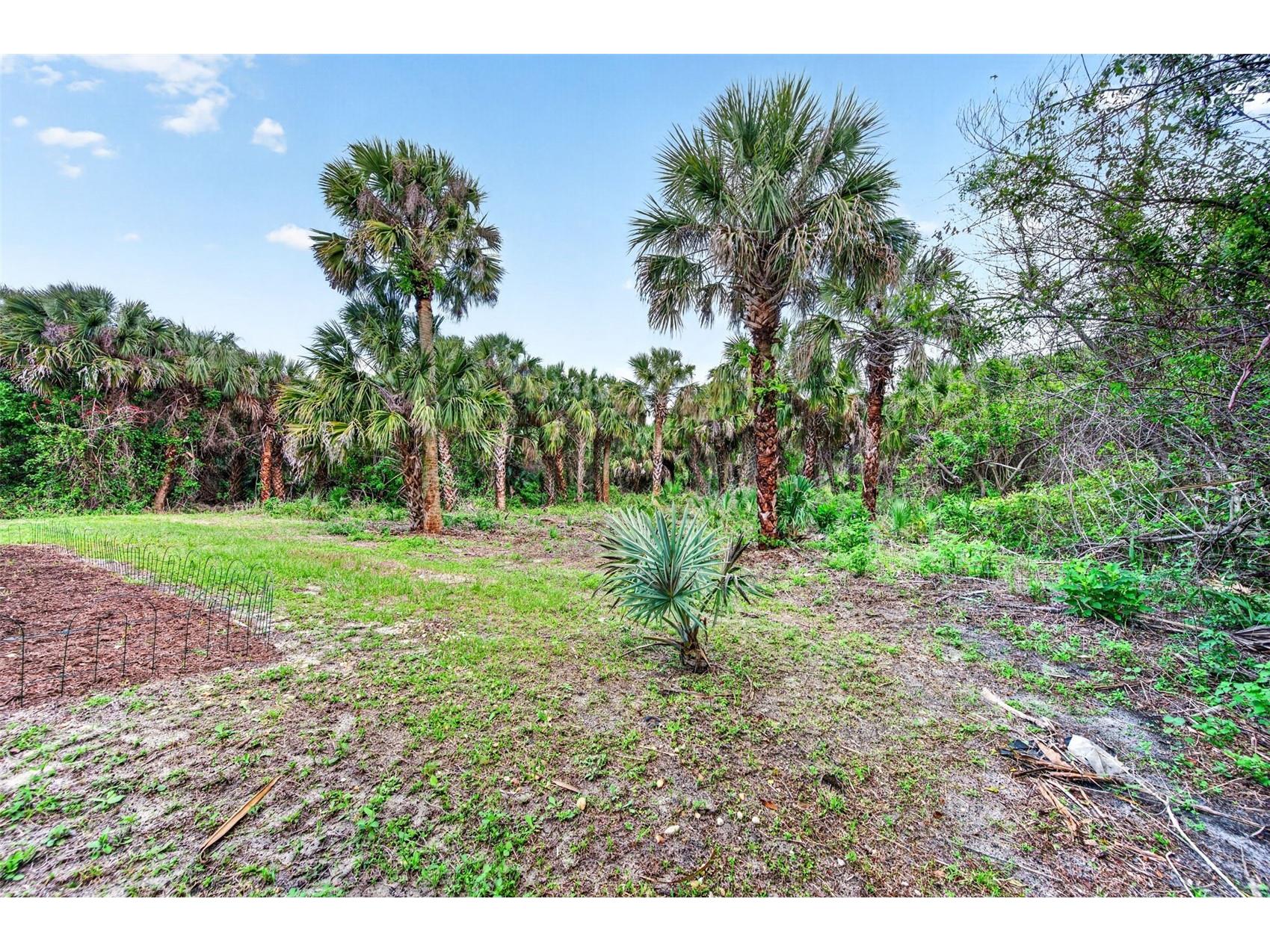 831 Owl Street SW Palm Bay FL 32908 O6398267 image50