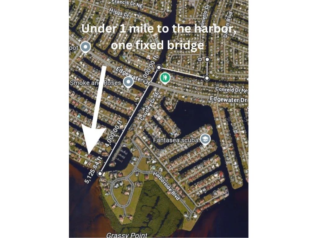831 Palmetto Drive NE Port Charlotte FL 33952 A4655050 image3
