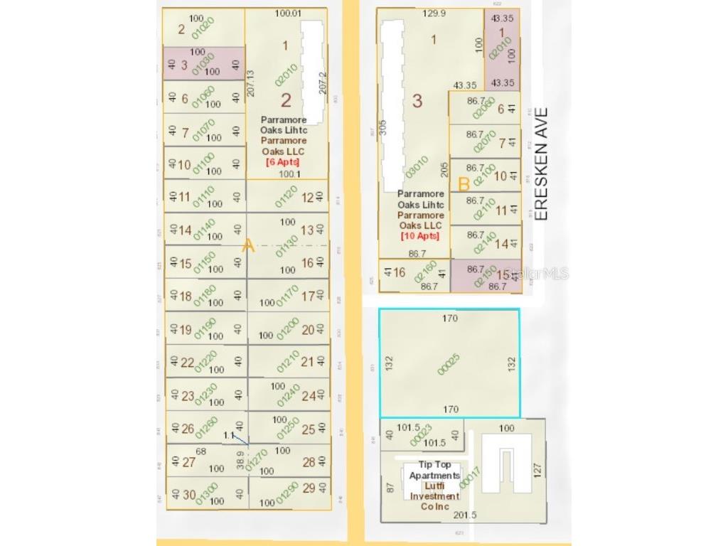 831 S Parramore Avenue Orlando FL 32805 O5987087 image1