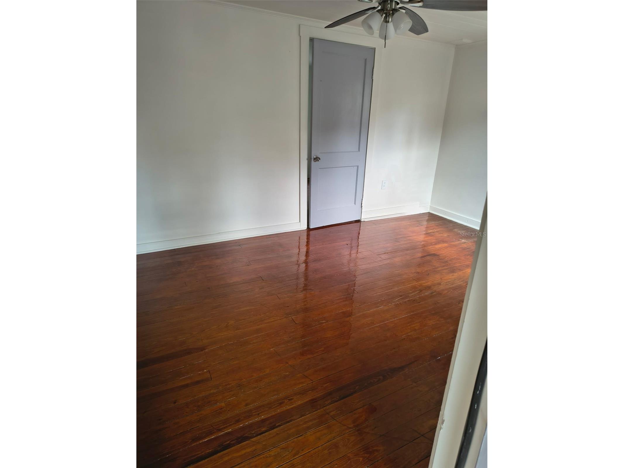 831 School Street Apopka FL 32712 O6416596 image1