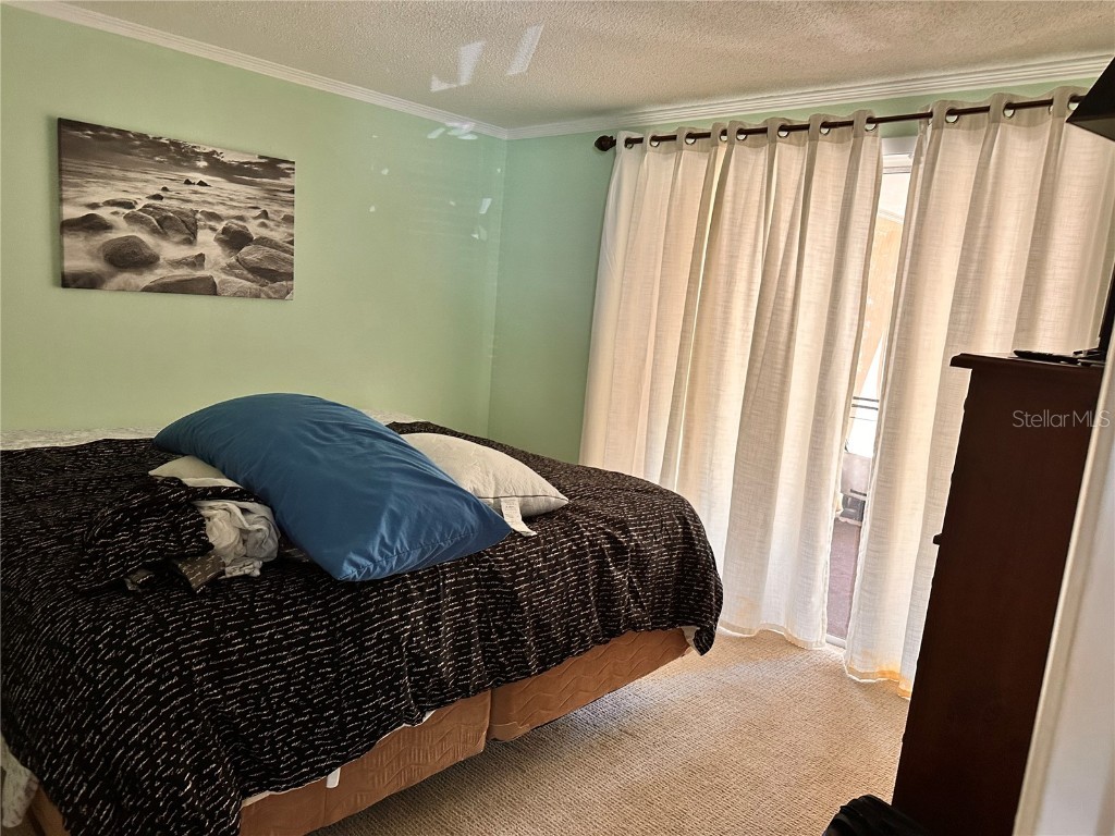 8310 Cavalry Drive Hudson FL 34667 W7879306 image19