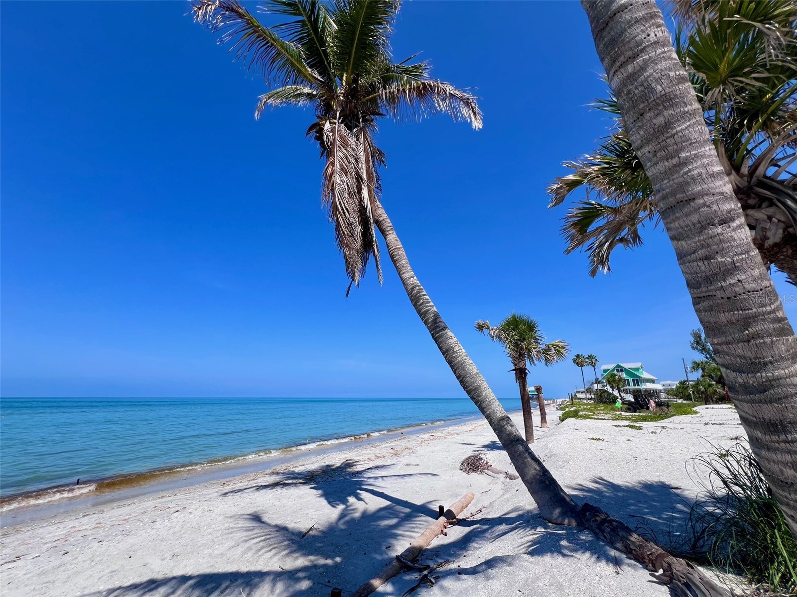8310 Grand Avenue Placida FL 33946 D6147214 image11