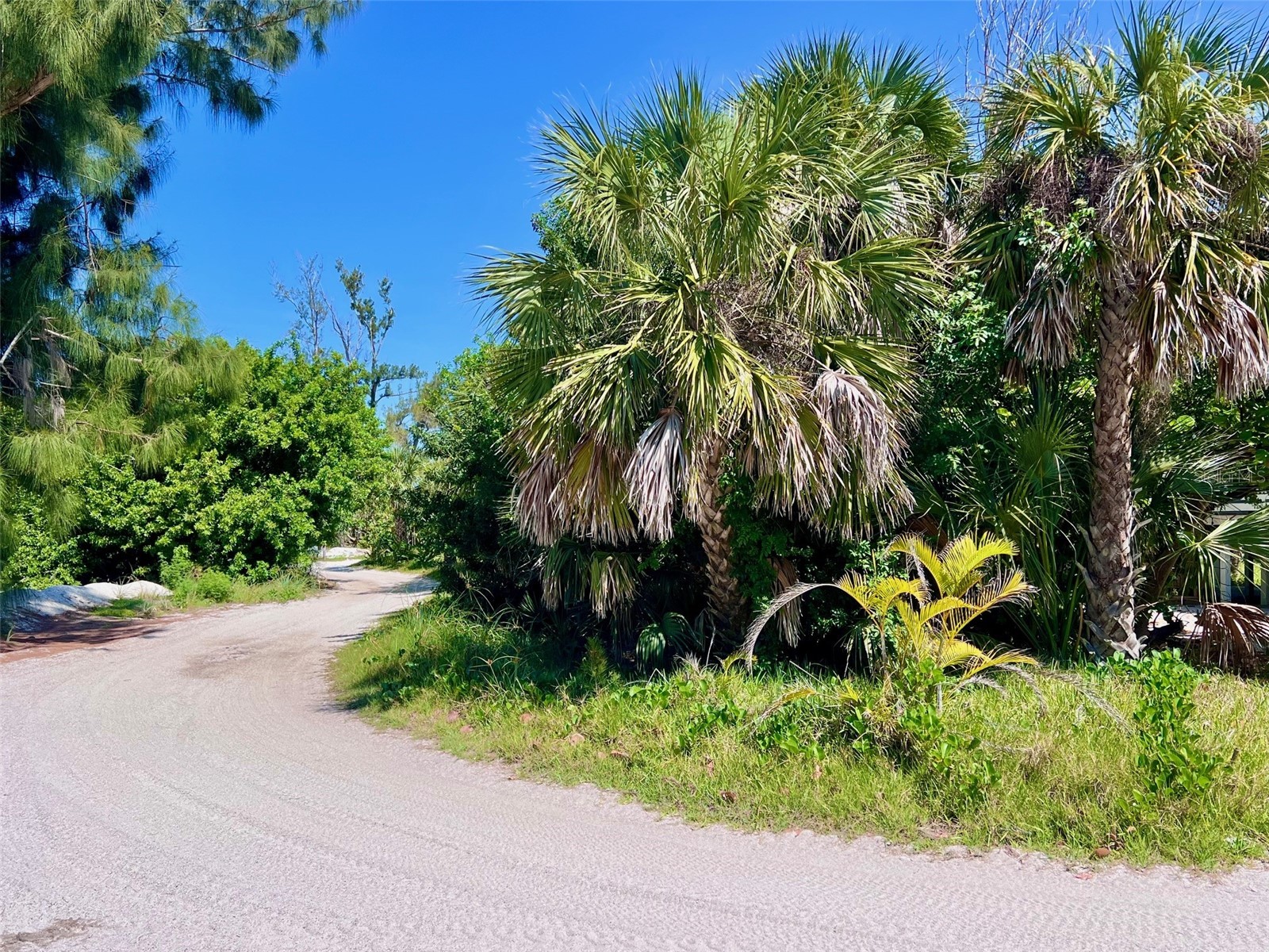 8310 Grand Avenue Placida FL 33946 D6147214 image2