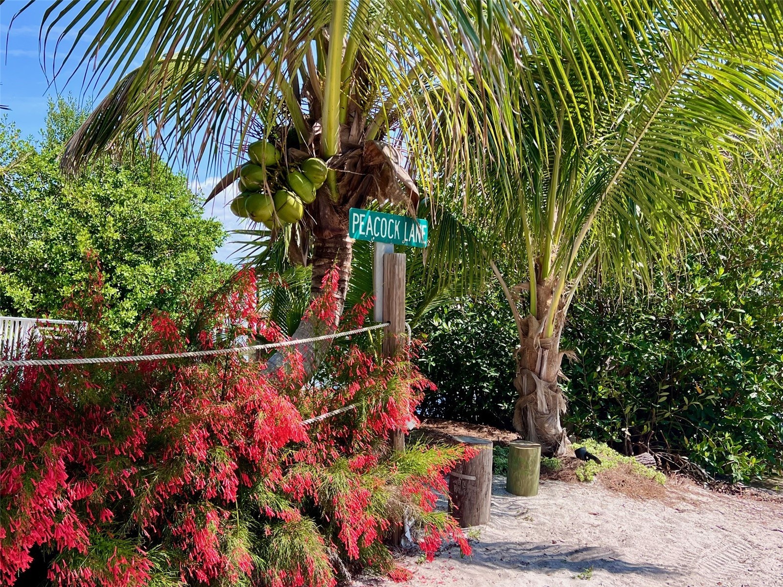 8310 Grand Avenue Placida FL 33946 D6147214 image5