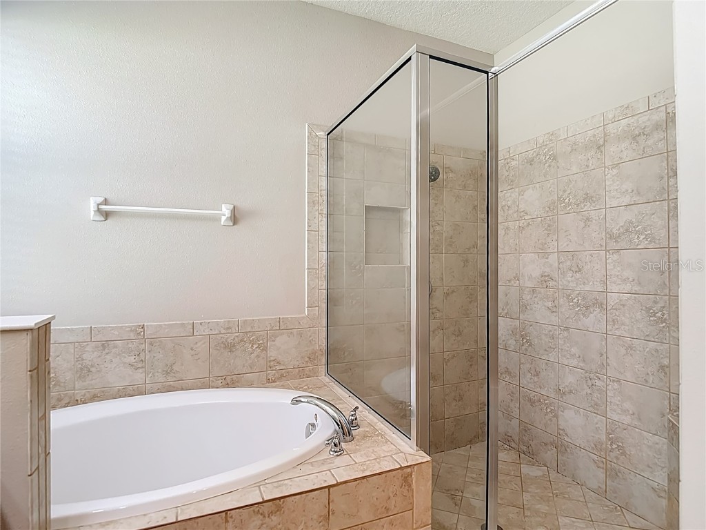 8310 Willow Beach Drive Riverview FL 33578 TB8423926 image43