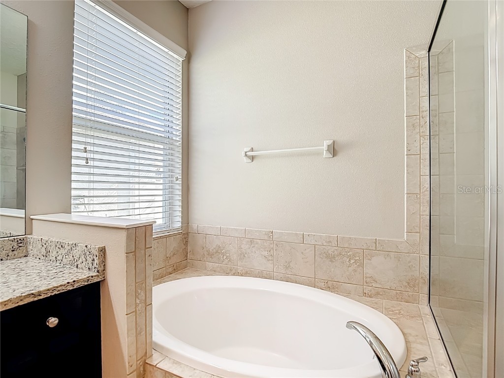 8310 Willow Beach Drive Riverview FL 33578 TB8423926 image44