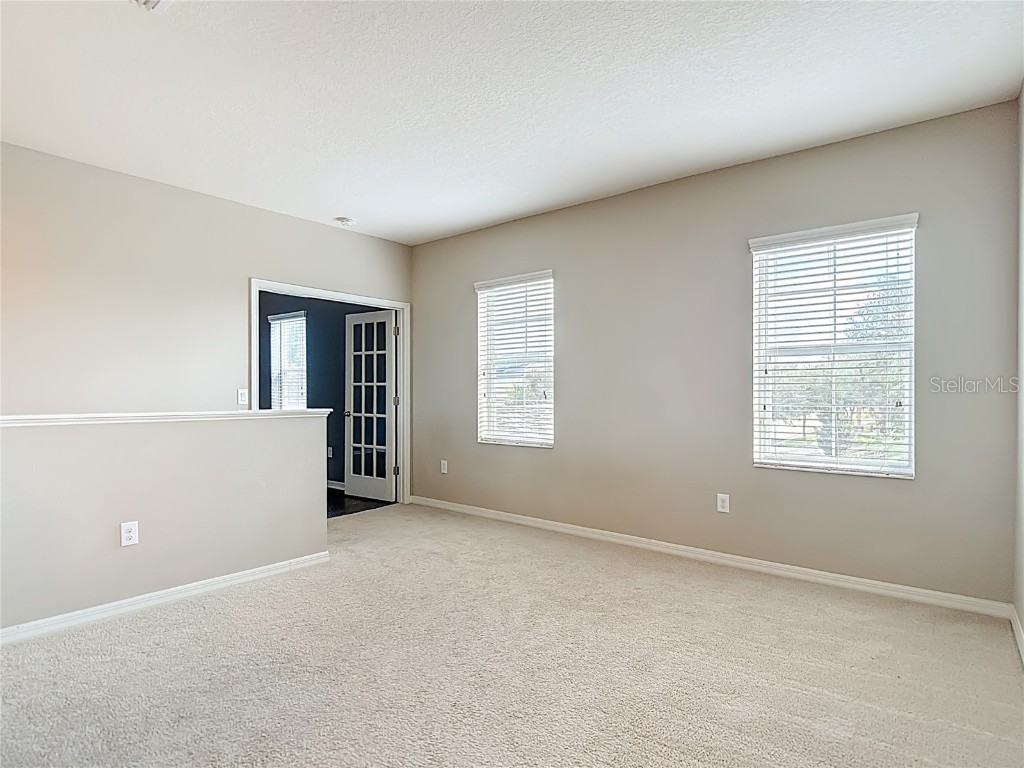 8310 Willow Beach Drive Riverview FL 33578 TB8423926 image50