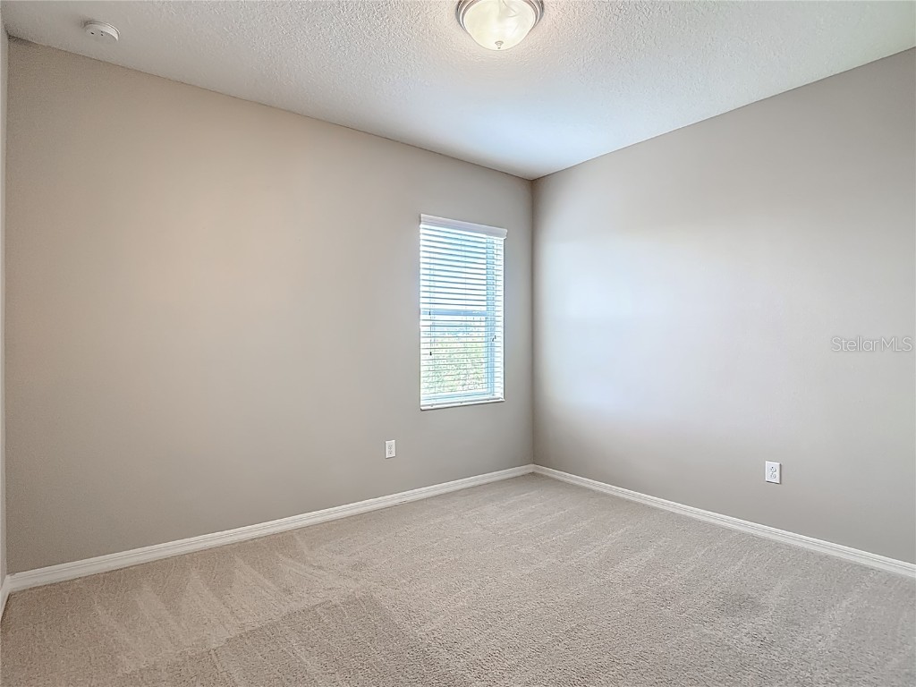 8310 Willow Beach Drive Riverview FL 33578 TB8423926 image52