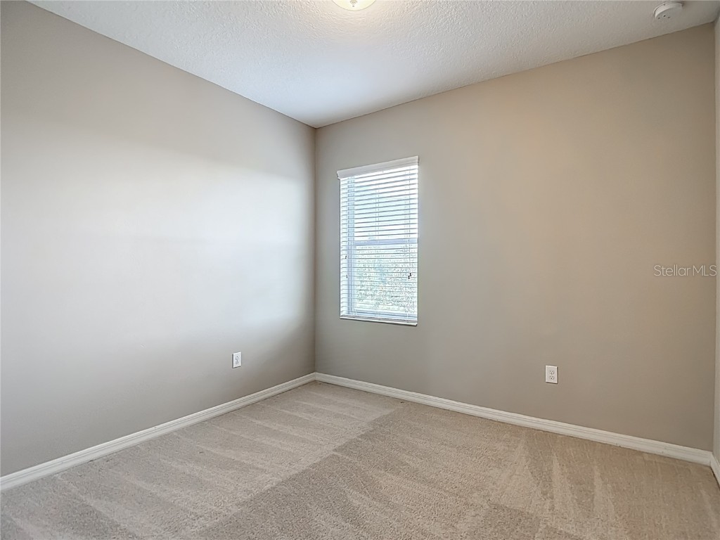 8310 Willow Beach Drive Riverview FL 33578 TB8423926 image63