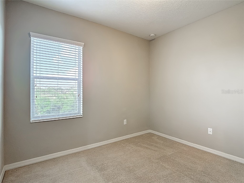 8310 Willow Beach Drive Riverview FL 33578 TB8423926 image66