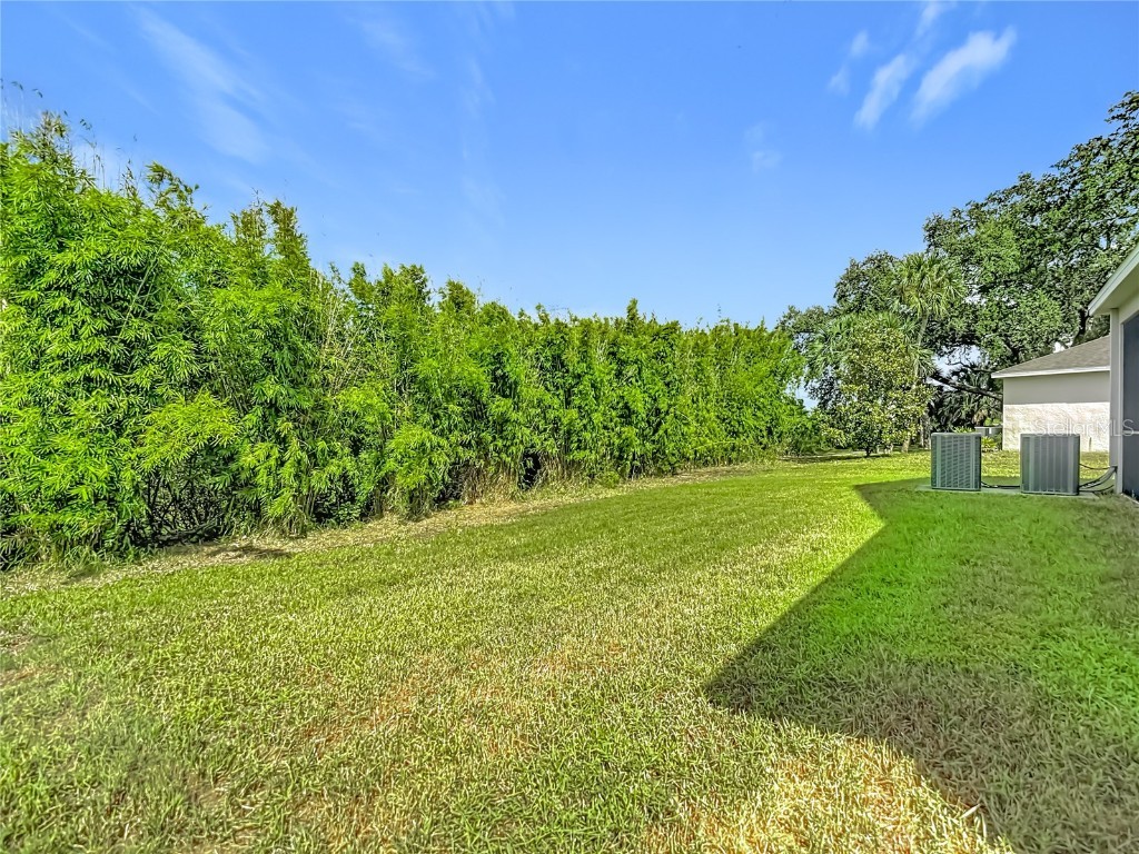 8310 Willow Beach Drive Riverview FL 33578 TB8423926 image81