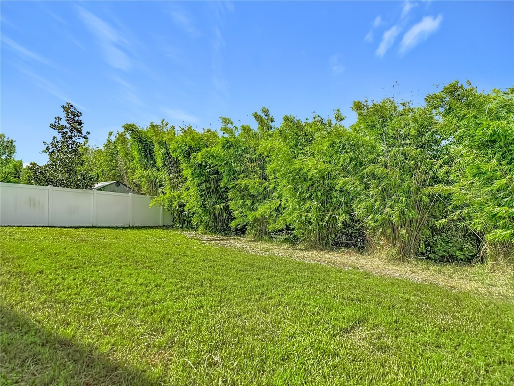 8310 Willow Beach Drive Riverview FL 33578 TB8423926 image85