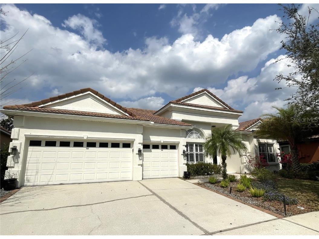 8310 Windsor Bluff Drive Tampa FL 33647 T3425386 image1