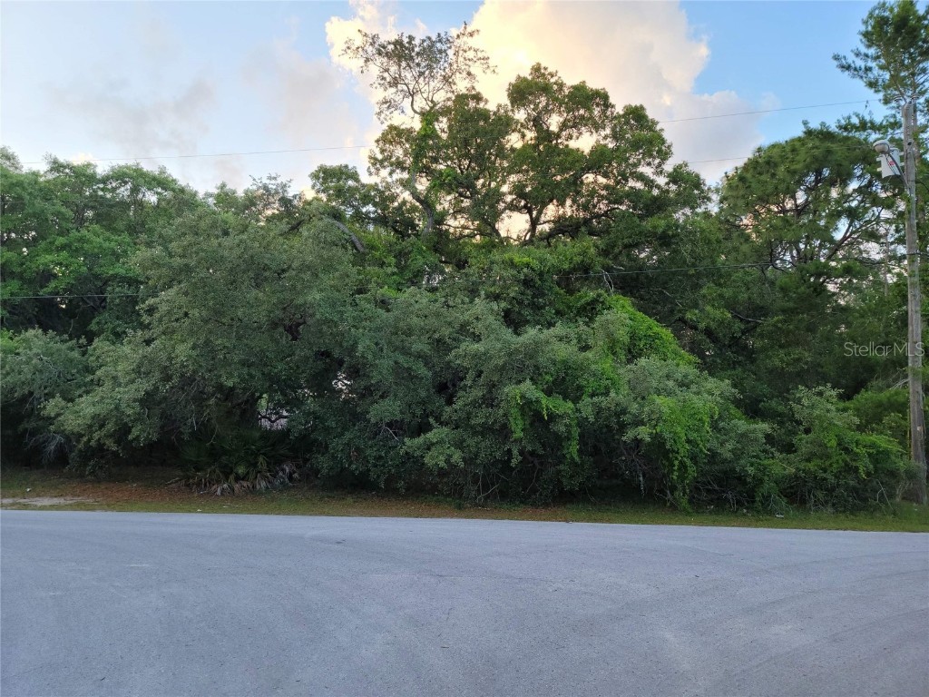 8311 Begonia Street Spring Hill FL 34608 W7852591 image1