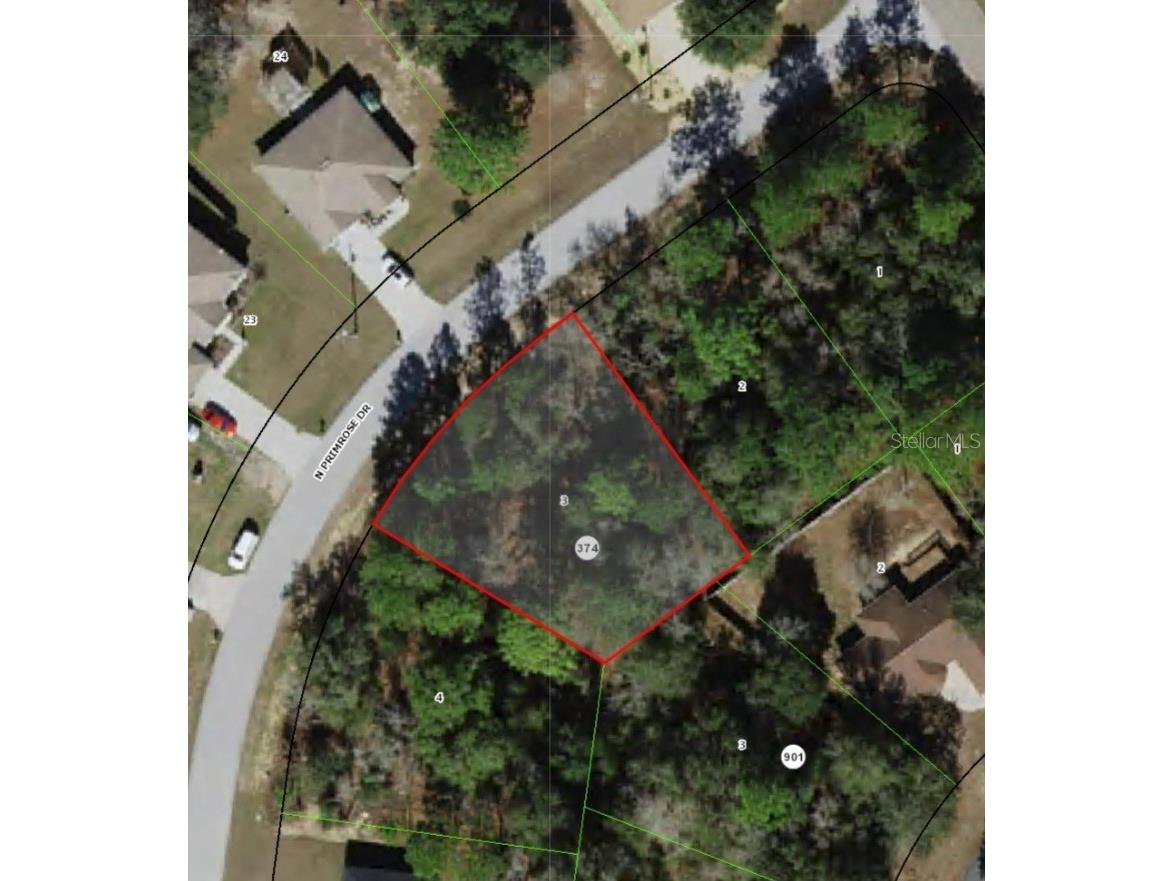 8311 N Primrose Drive Citrus Springs FL 34434 W7884465 image1