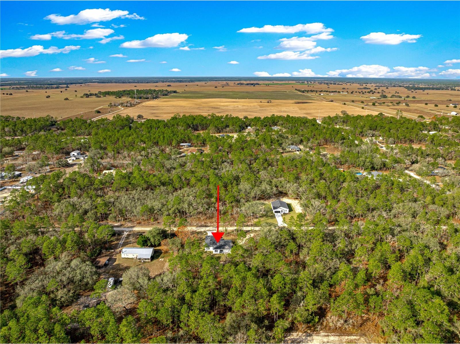 8311 SW 136th Terrace Dunnellon FL 34432 G5112502 image53