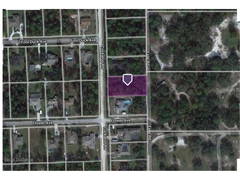 8312 Cockatoo Road Weeki Wachee FL 34613 TB8382492 image1