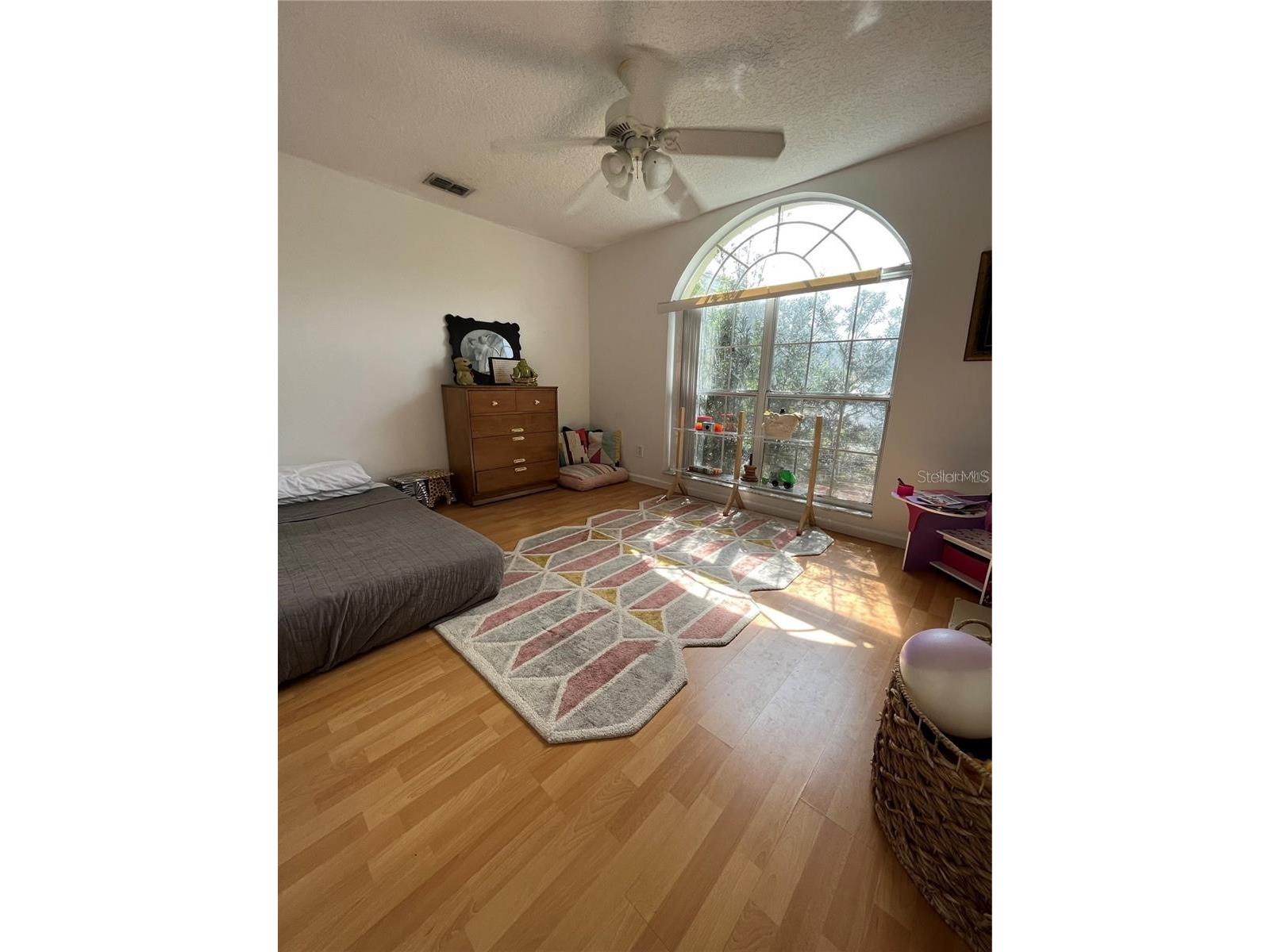 8312 Lake Park Estates Boulevard Orlando FL 32818 O6398408 image5