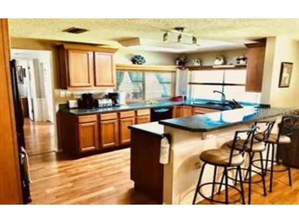 8313 Cavalry Drive Hudson FL 34667 TB8381912 image19