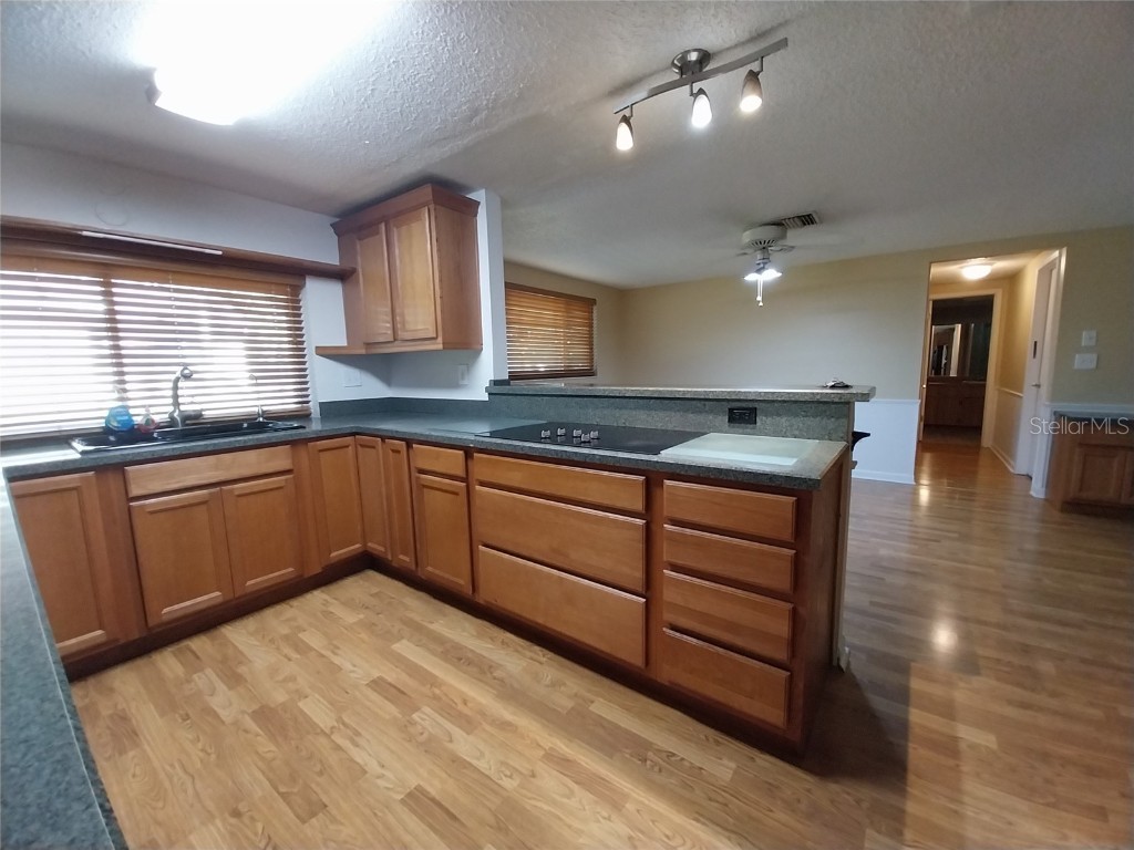 8313 Cavalry Drive Hudson FL 34667 TB8381912 image2